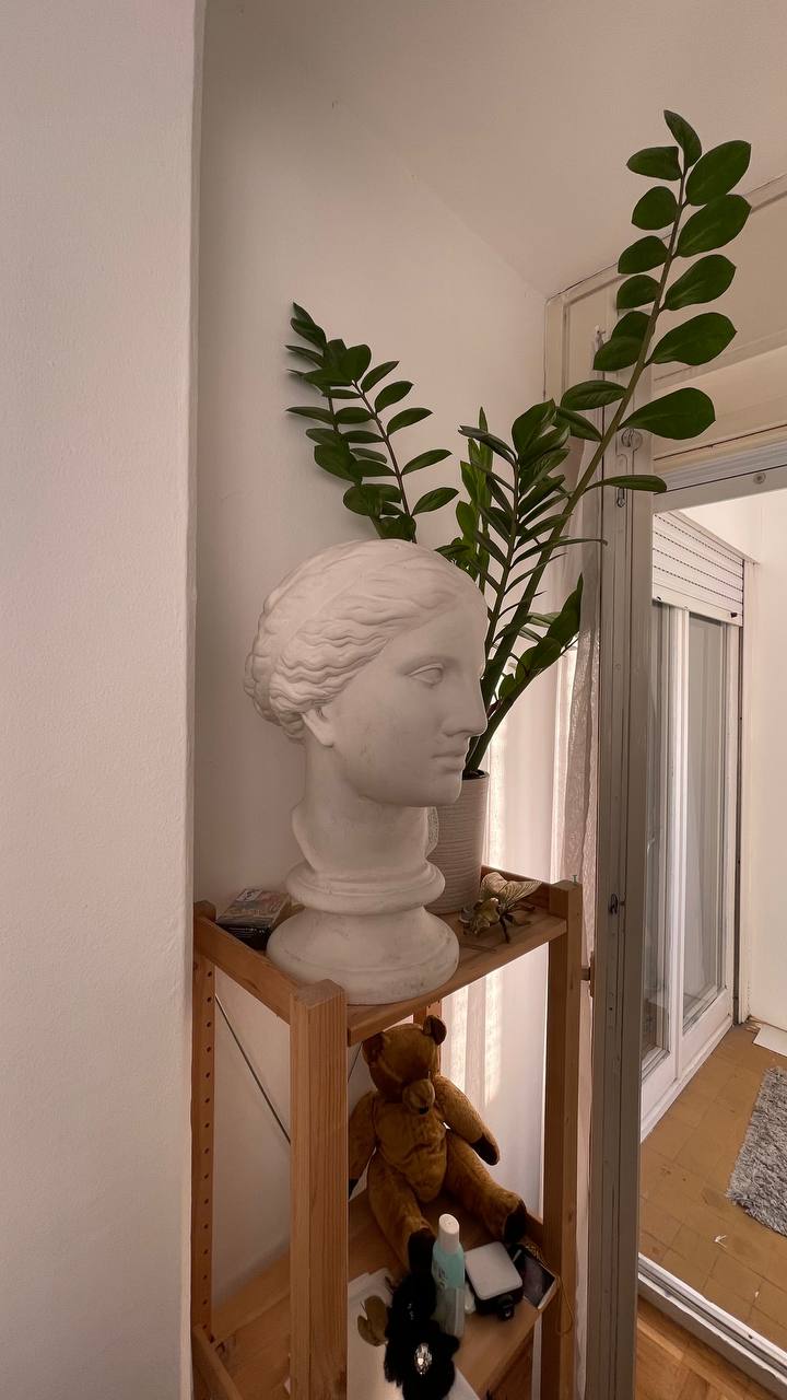 Гipsova glava Afrodite photo 2