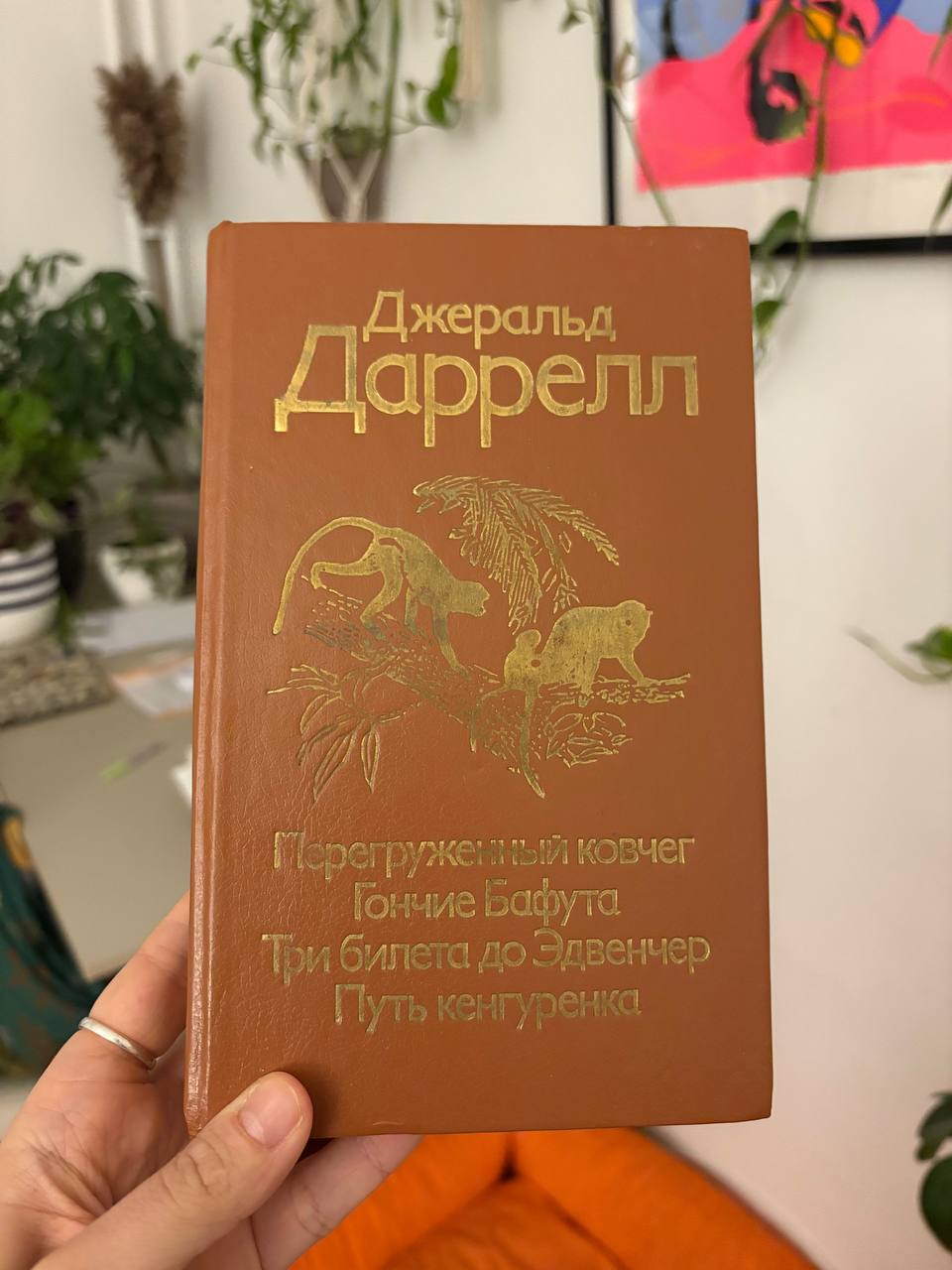 Африканская книга photo 4