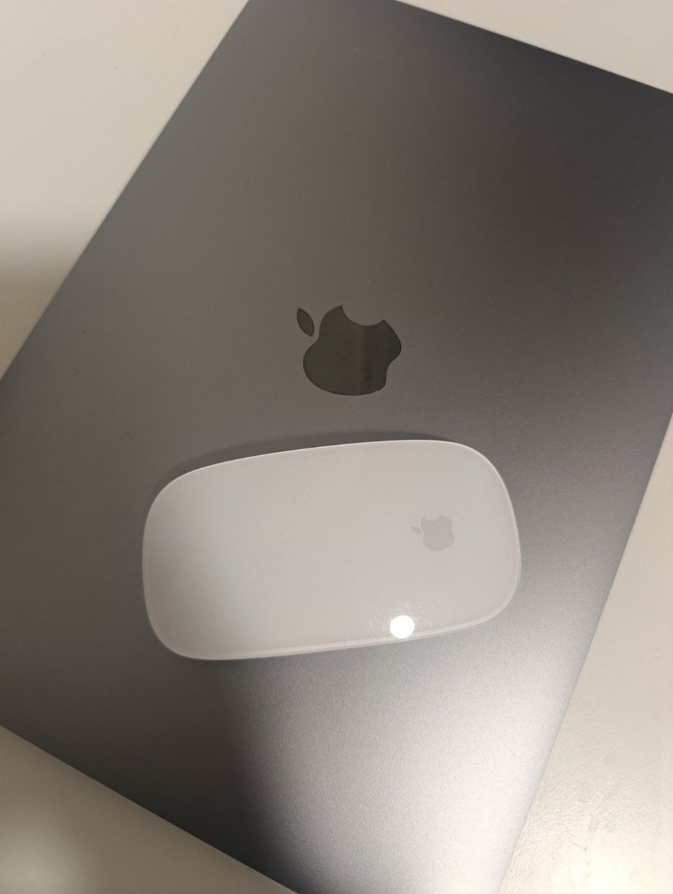 Apple Magic Mouse Multi-Touch