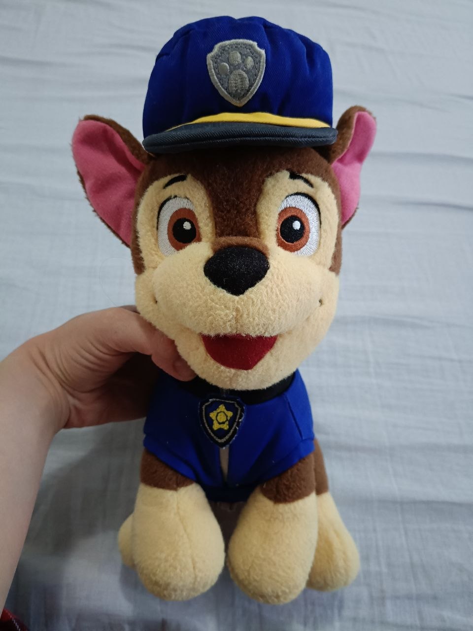 Puppies from "Paw Patrol"