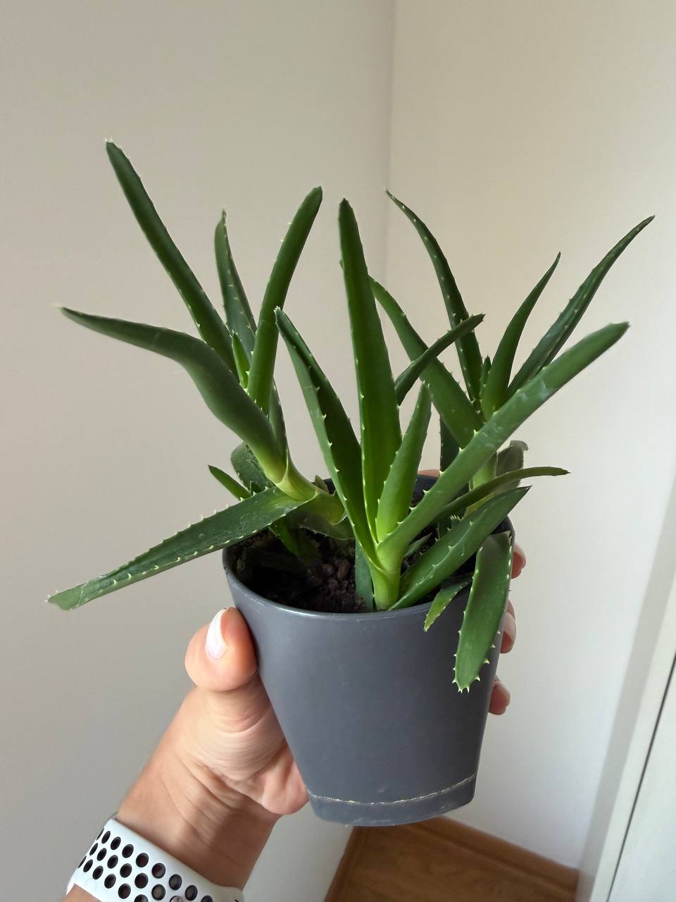 Product photo 3