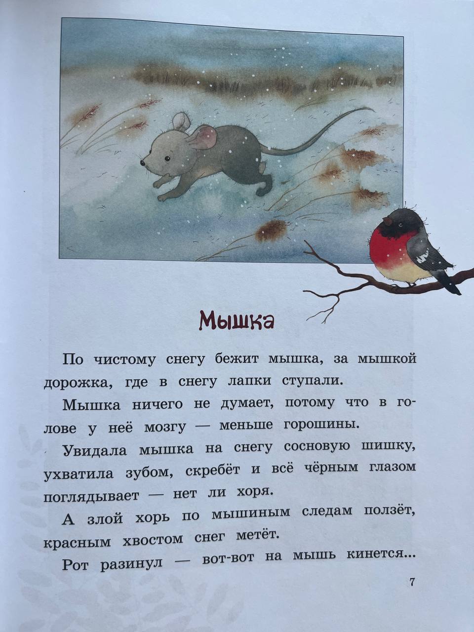 Fox Tales photo 3