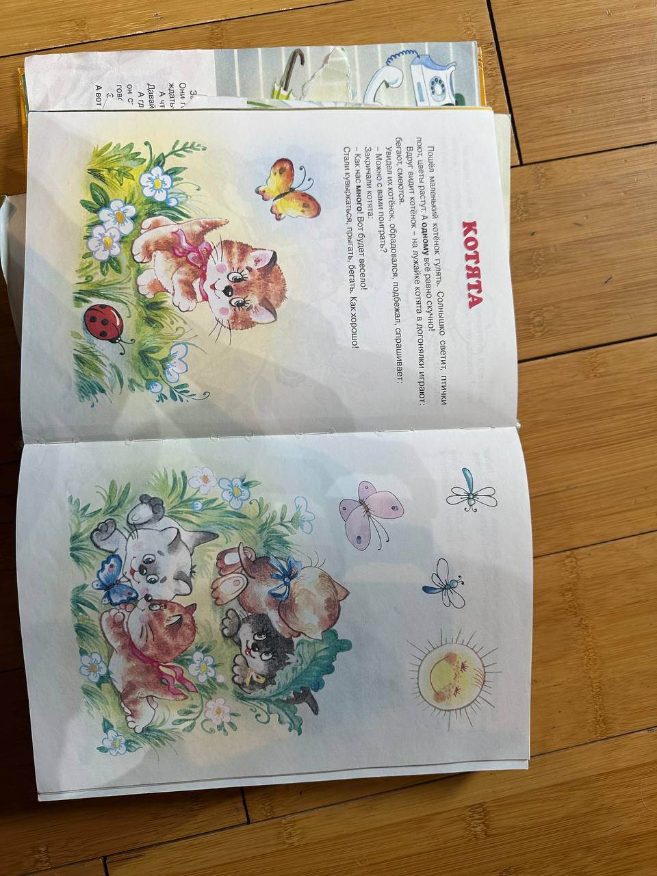 The Great Book About the Rabbit photo 2