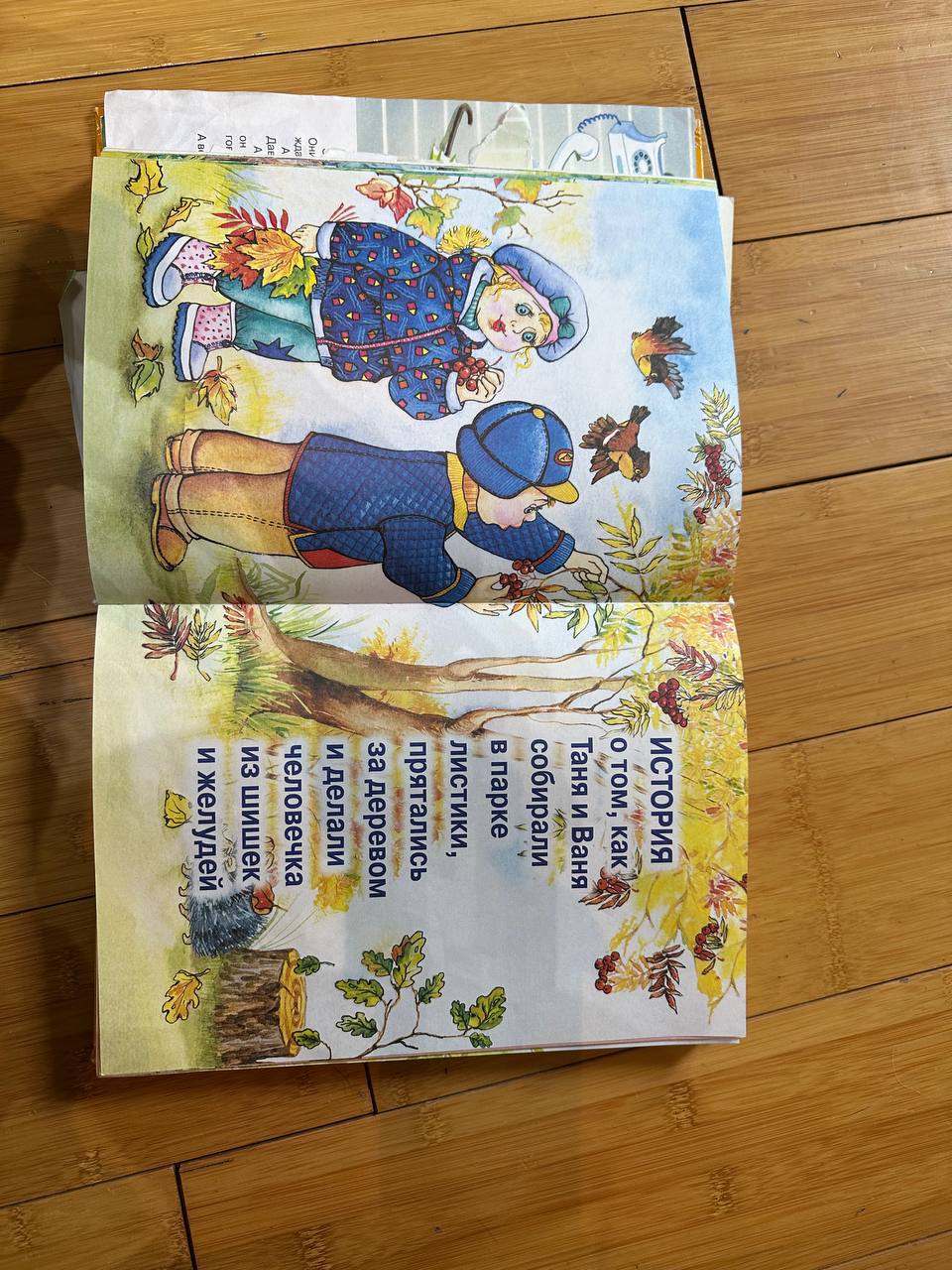 The Great Book About the Rabbit photo 3