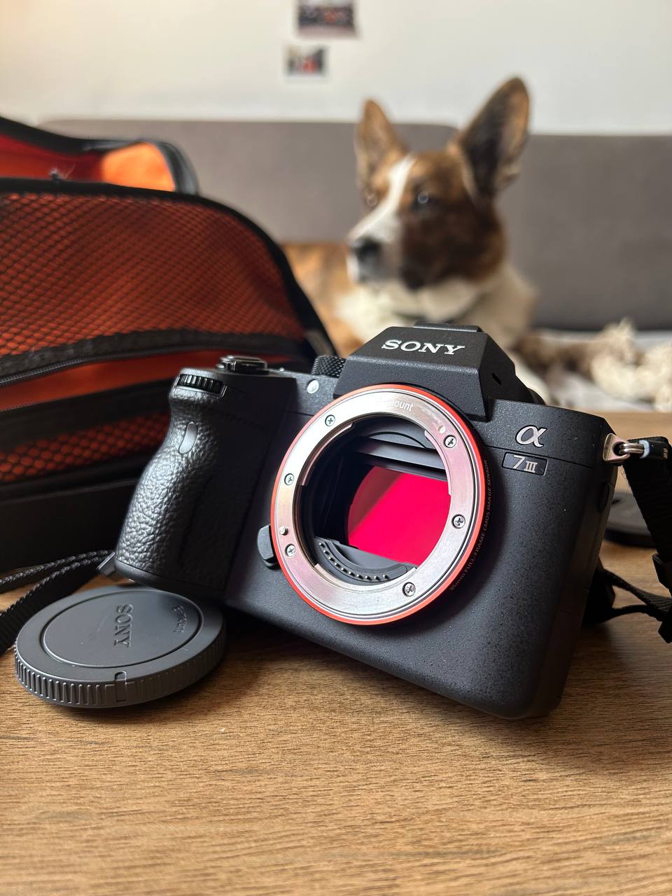 Sony A7 III