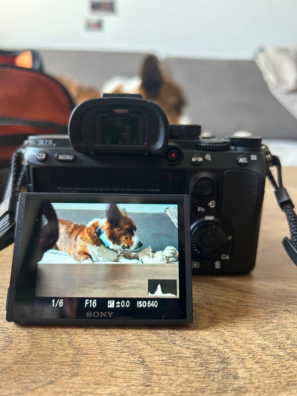Sony A7 III photo 3