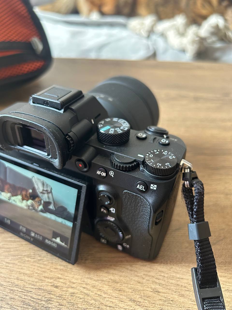 Sony A7 III photo 4