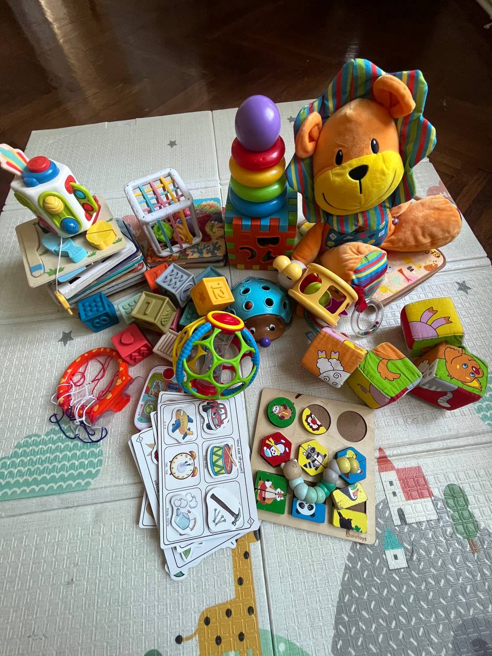 Велика торба играчака и књига