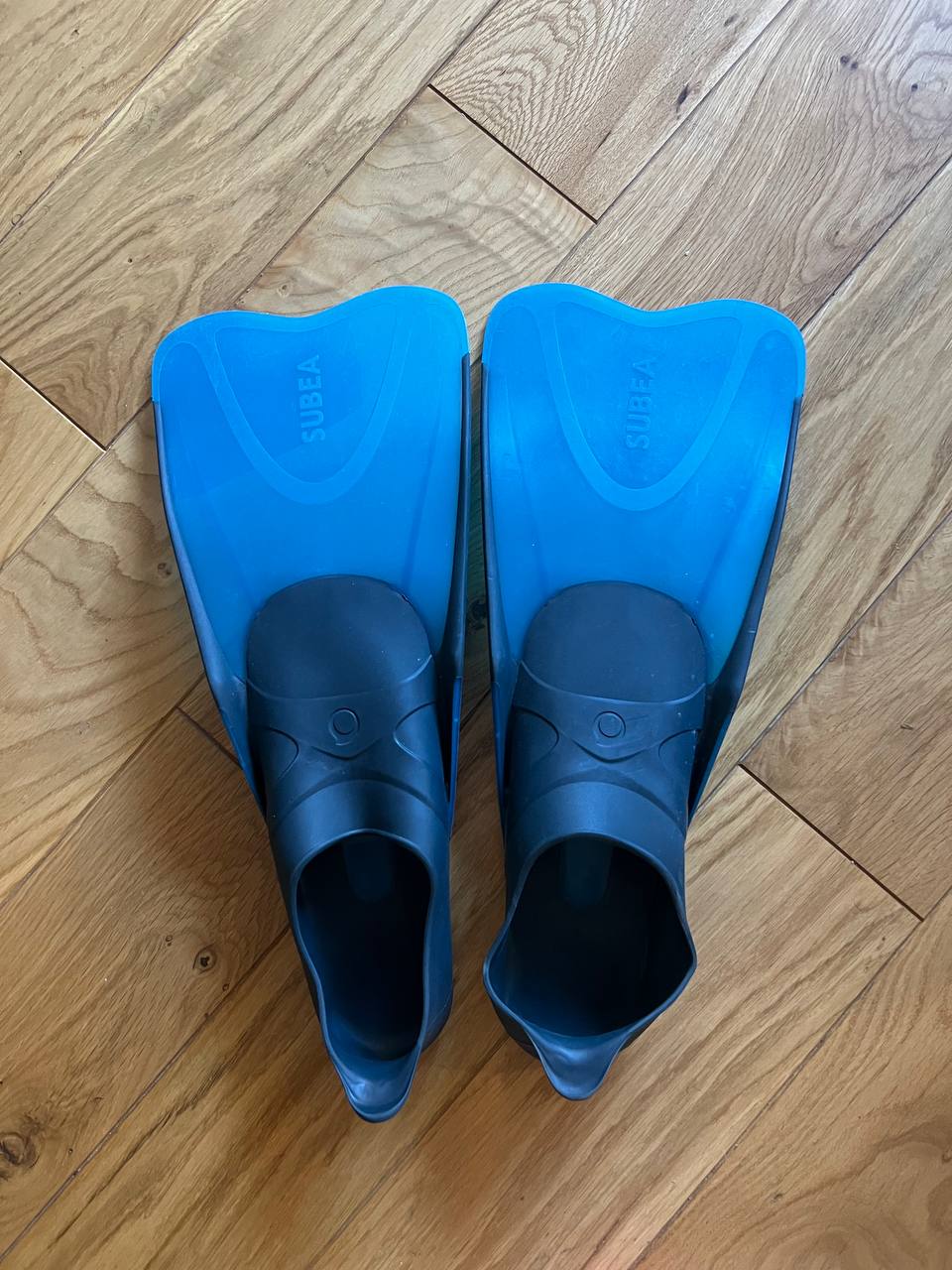 Flippers photo 2