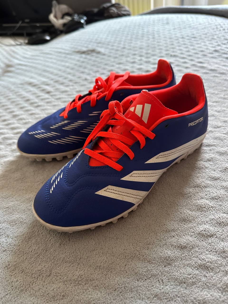 Adidas predator
