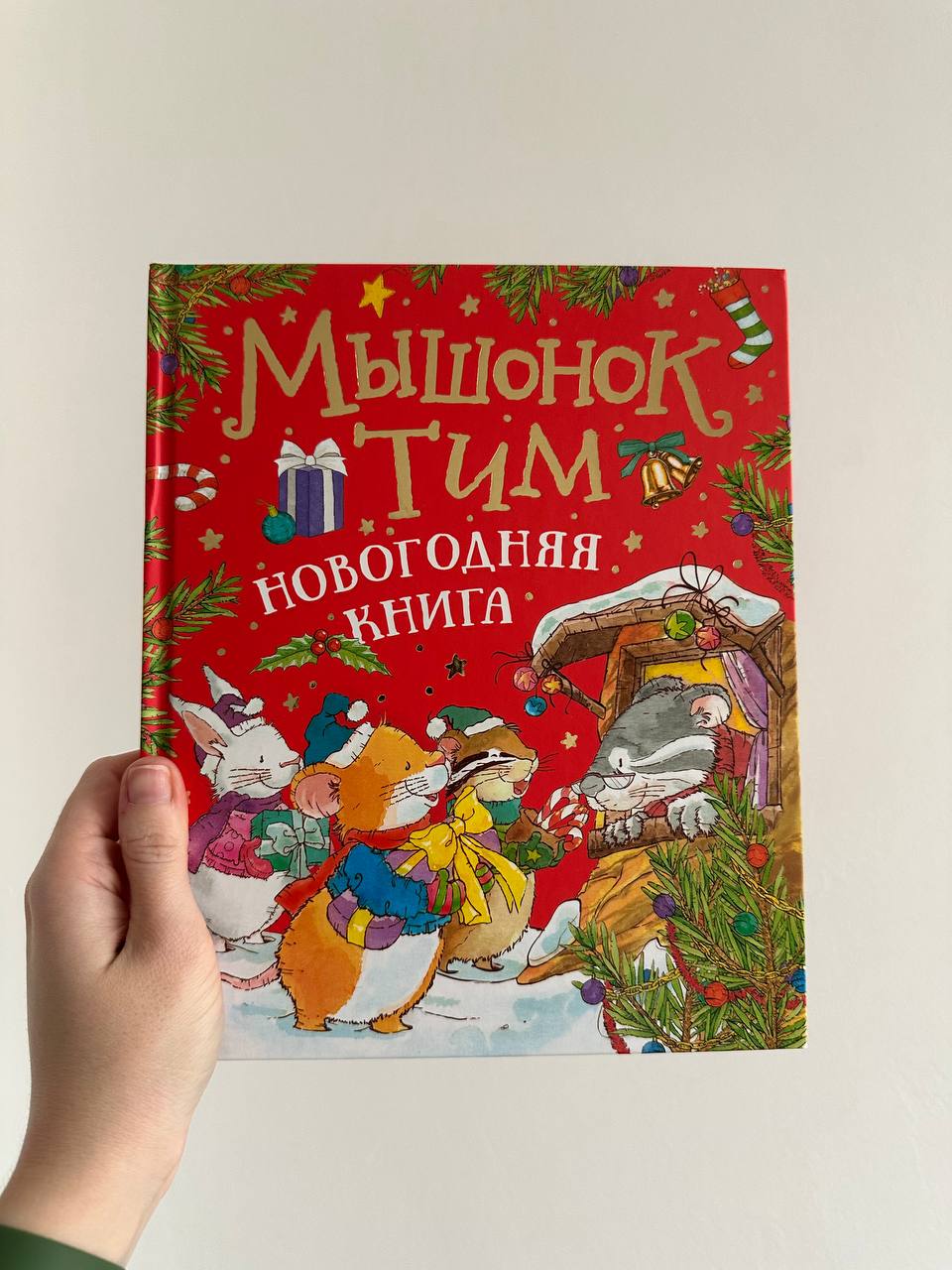 Mumij Troj i piknik pod mesecem photo 10