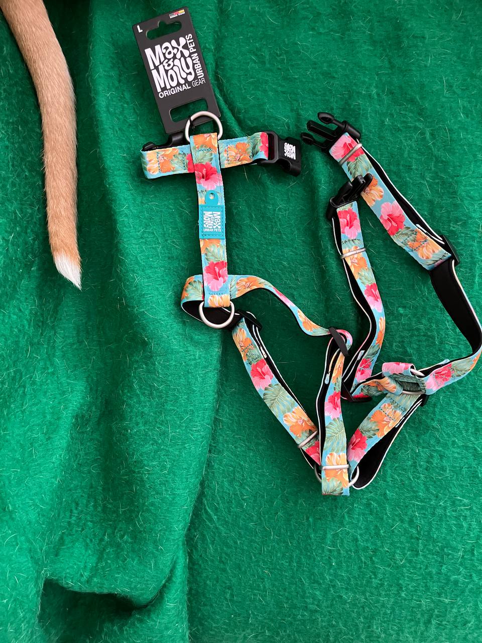Harness [max-molly] photo 3