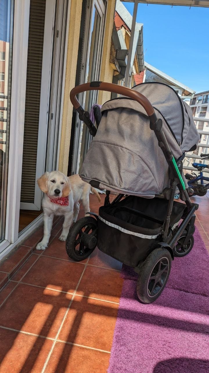 Britax Romer Smile 3 kolica za vožnju photo 5