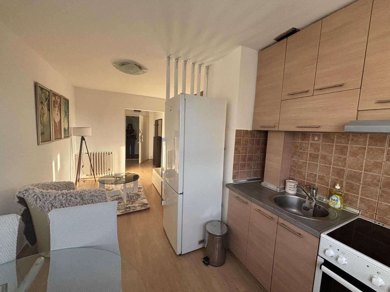1.5 sobe, Stan, 40 m² photo 4