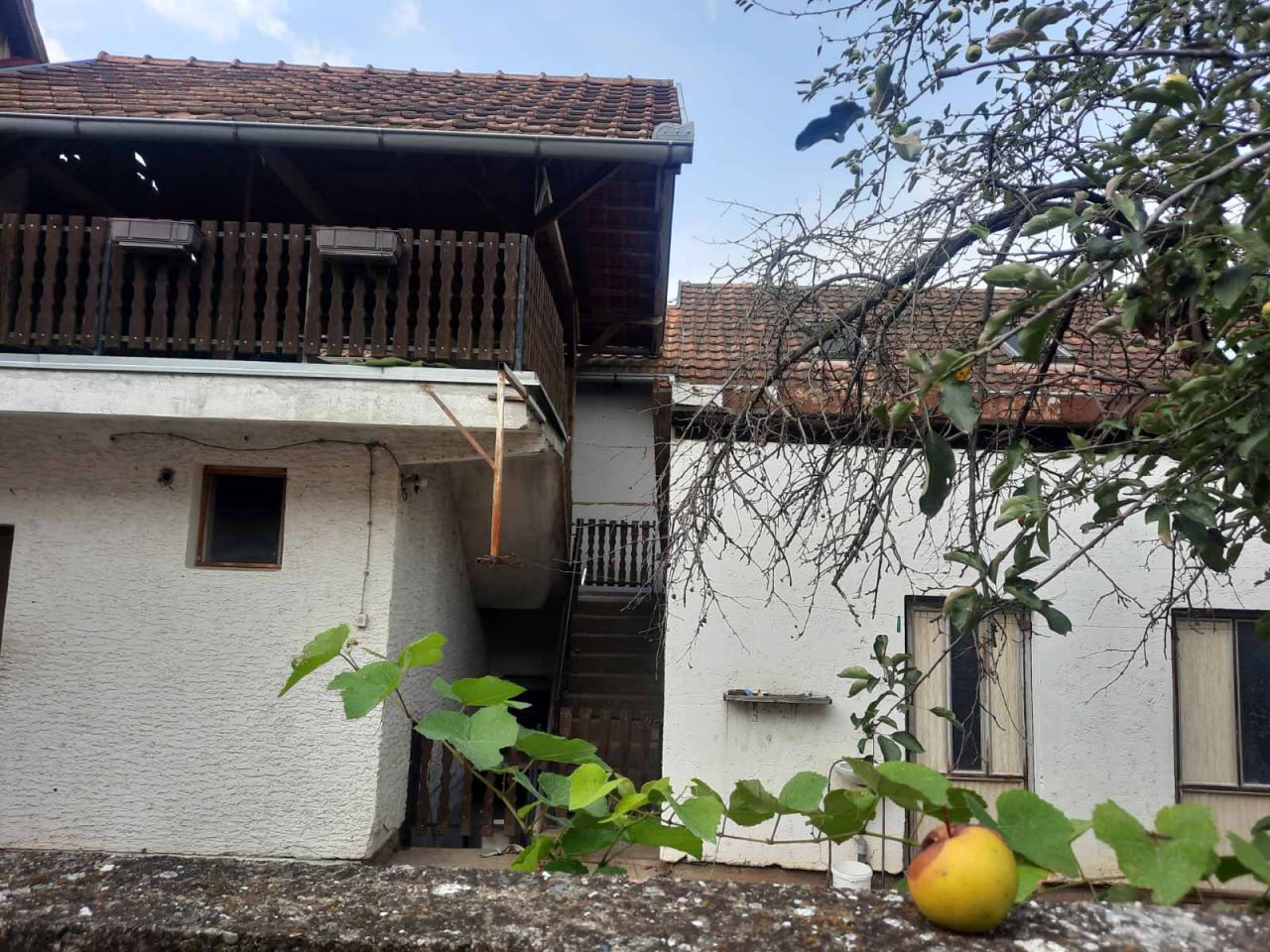House, 480 m²