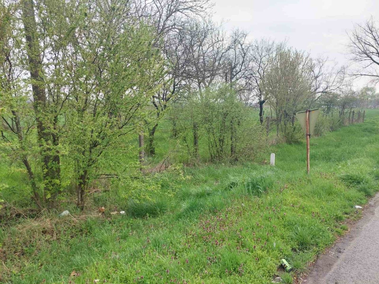 Kancelarija, 834 m² photo 2