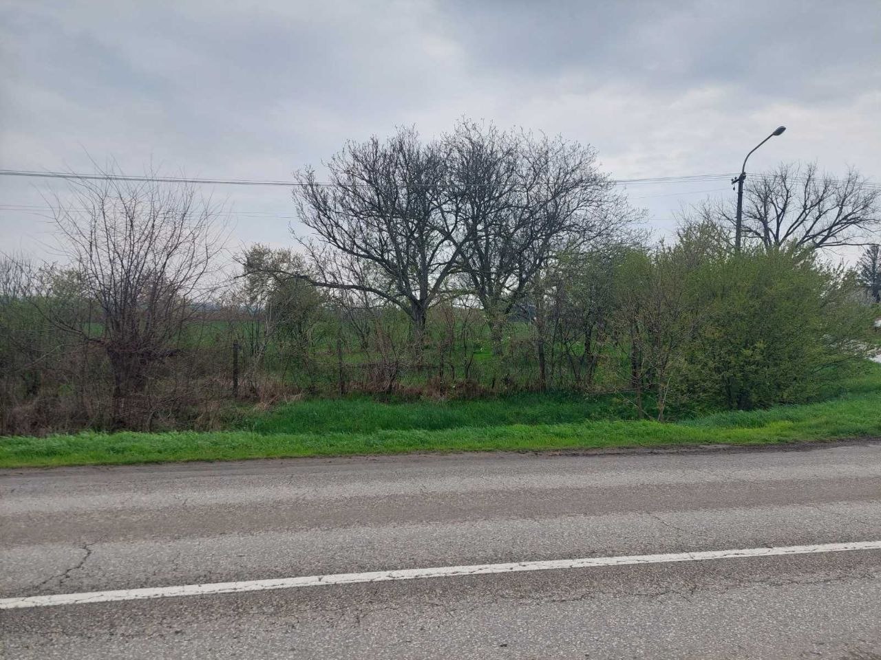 Kancelarija, 834 m² photo 3