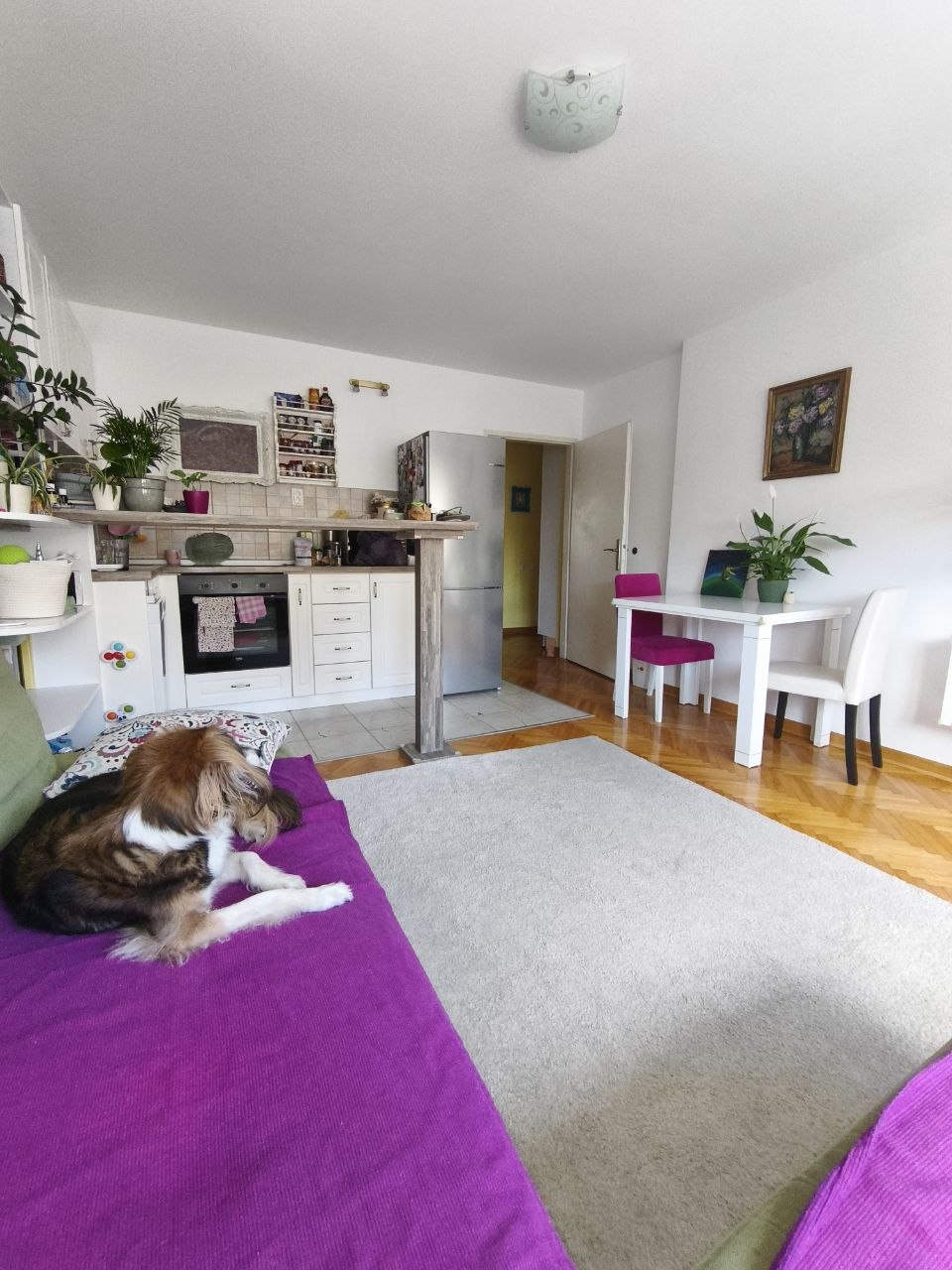 2.5 sobe, Stan, 55 m² photo 4
