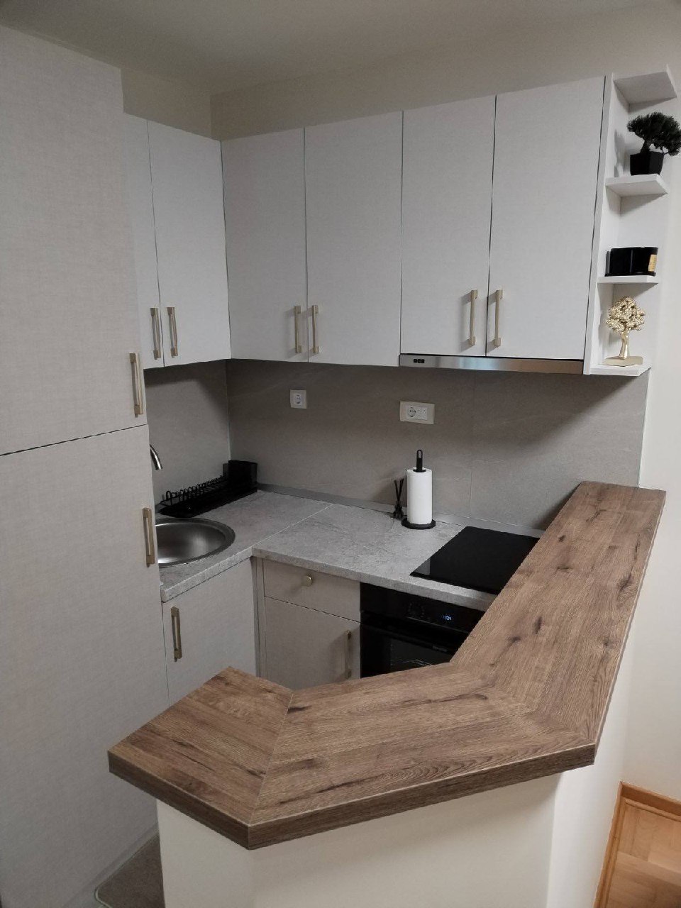 1 sobe, Stan, 54 m² photo 3
