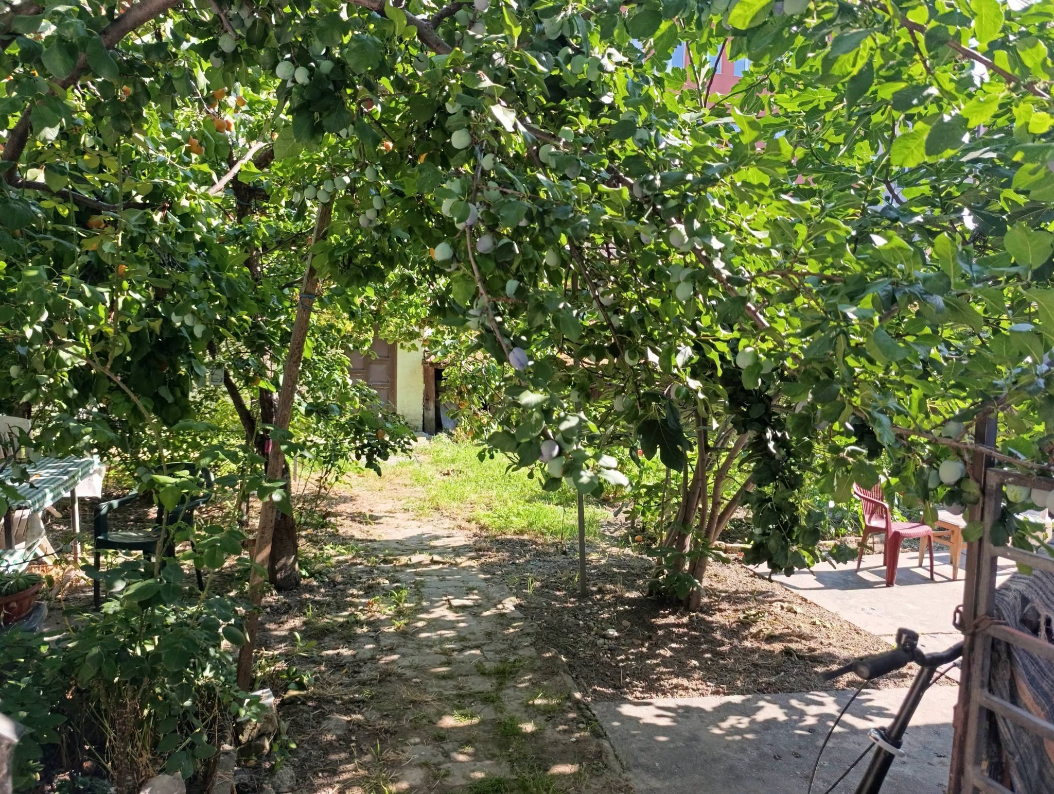 1 sobe, Stan, 31 m² photo 4