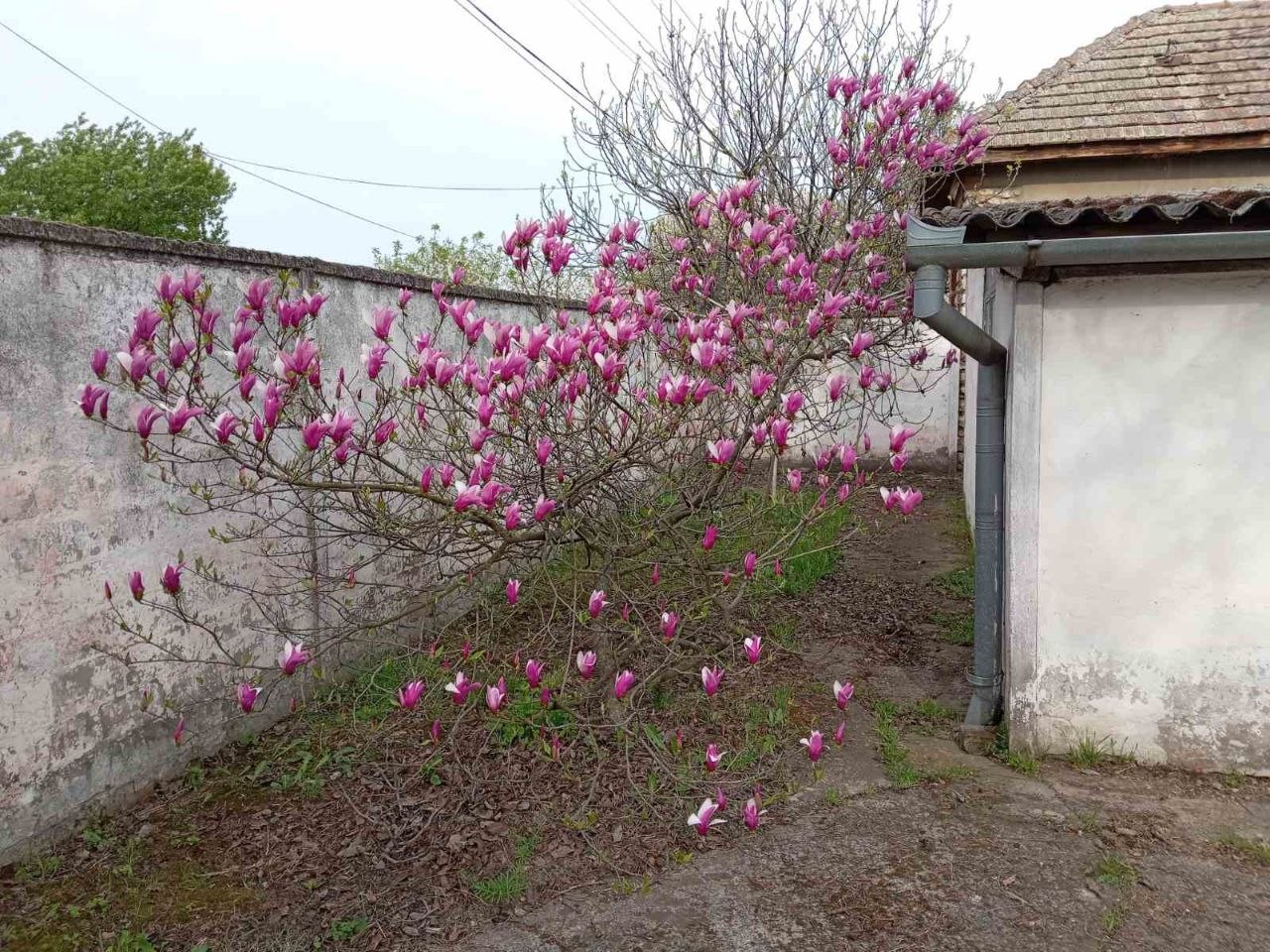 3.5 sobe, Kuća, 160 m² photo 4